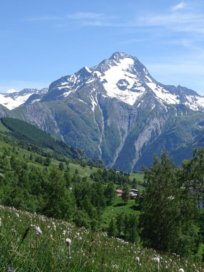 L'Ansloboys Montagne A2 Apartment Les Deux Alpes Bagian luar foto
